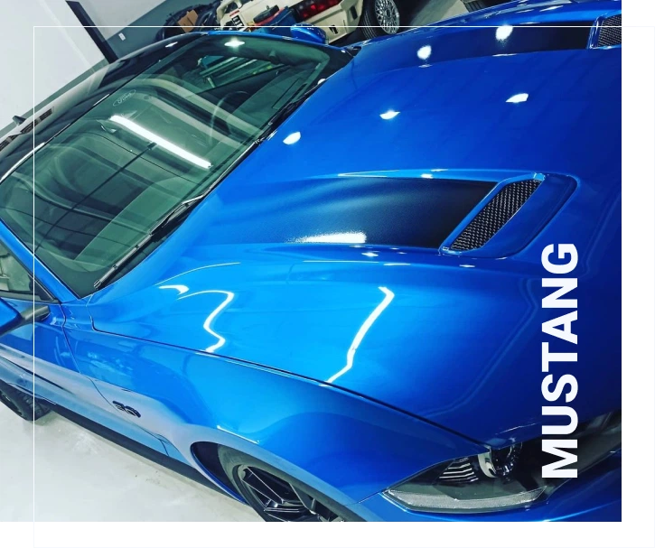 Mustang